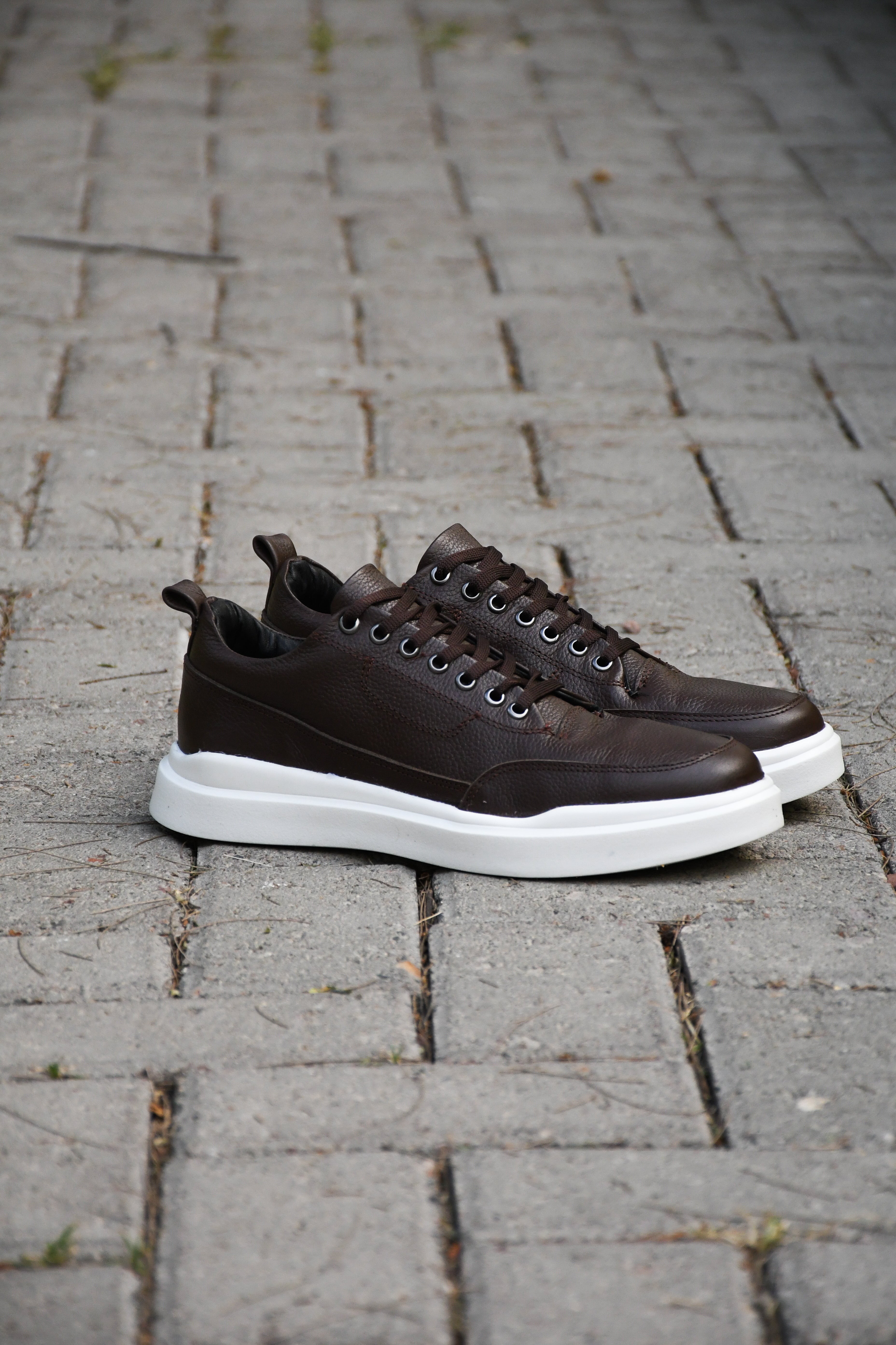 Tenis Fernando chocolate